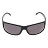 Picture of Casse Sunglasses